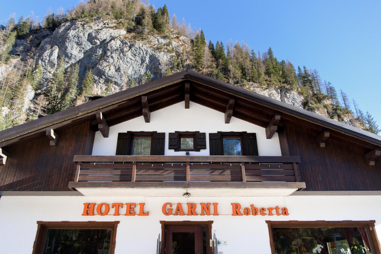 Hotel Garni Roberta Malga Ciapela Exterior foto